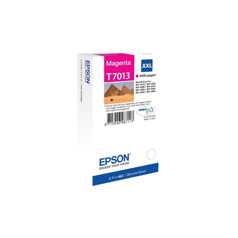 Epson T7013 - cartuccia di inchiostro originale C13T70134010 - Magenta