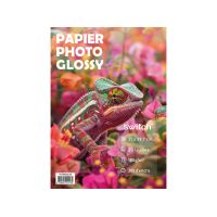 PAPIER PHOTO A4 180gr BRILLANT 20 feuilles SWITCH