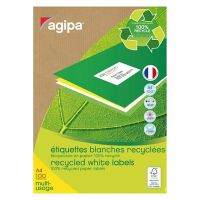 AGIPA 101185 Boîte de 6500 étiquettes Recyclées Multi-usages AGIPA 38